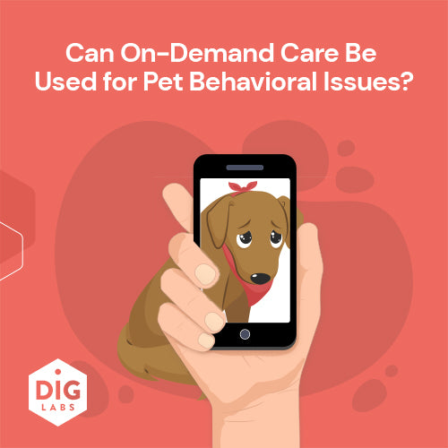 Can On-Demand Care Be Used for Pet Behavioral Issues?