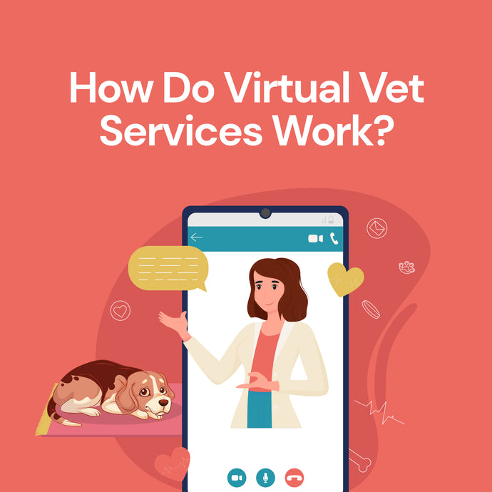 How Do Virtual Vet Services Work?