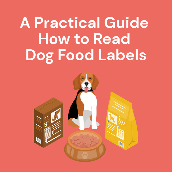 Guaranteed Analysis & Ingredients: A Practical Guide How to Read Dog Food Labels