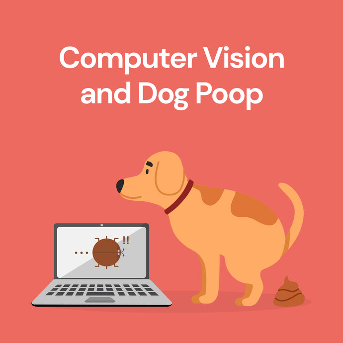 Computer Vision and Dog Poop